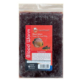 Aquatopia Frozen Blood Worms (Single Packet)