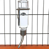 Glass Water Bottle for Small Pets