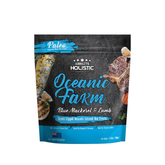 Absolute Holistic Oceanic Farm Lamb & Mackere Air Dried Dog Treats 100g
