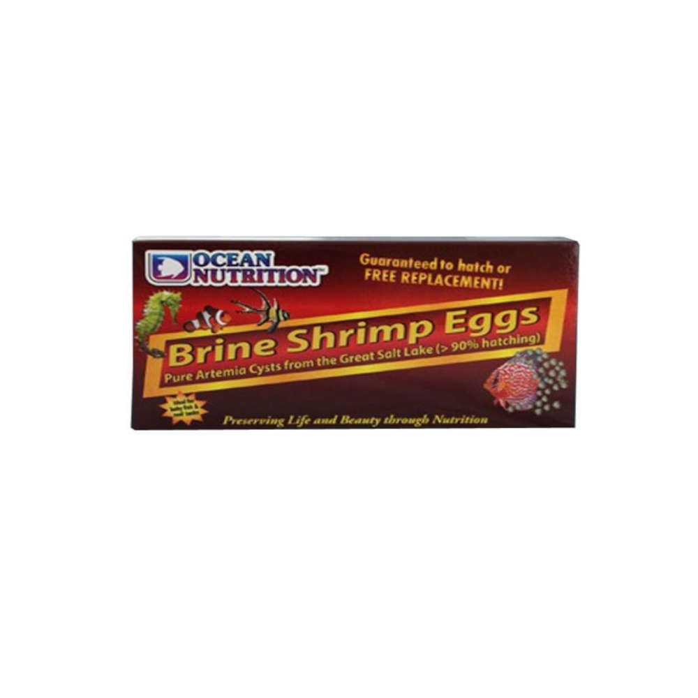 Artemia Brine Shrimp Eggs 50g