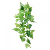 Eco Tech Hanging Honey Ivy 45cm