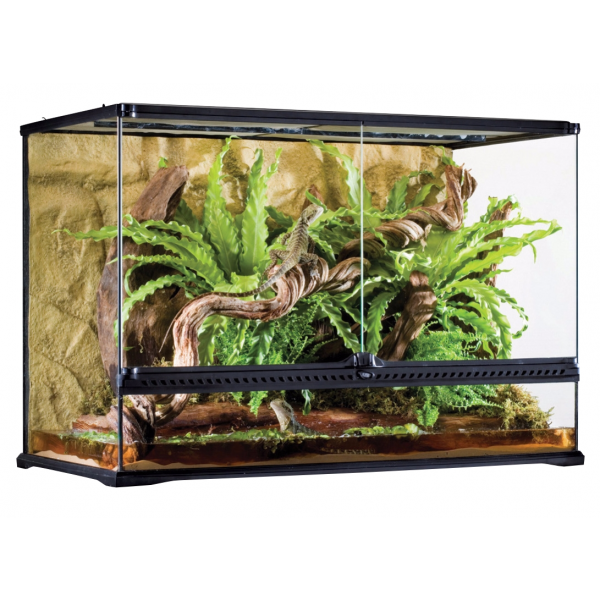 Exo Terra All Glass Large Tall Terrarium 90 x 45 x 60cm