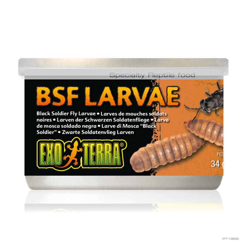 Exo Terra Black Solder Fly Larvae 34G