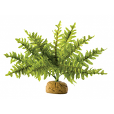 Exo Terra Boston Fern Small 25cm wide