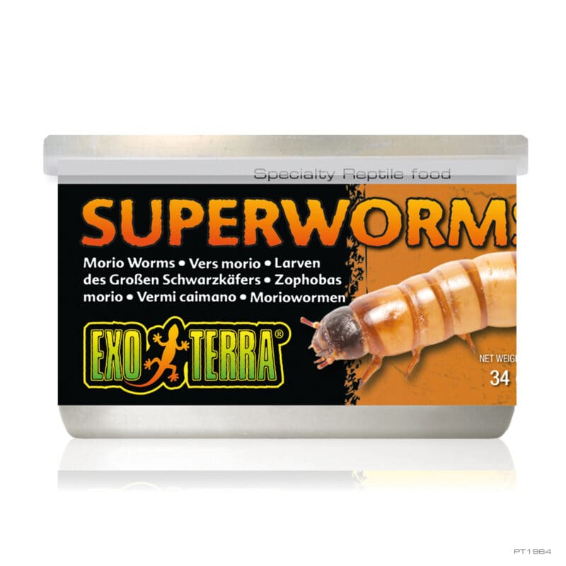 Exo Terra Canned Superworms 34G