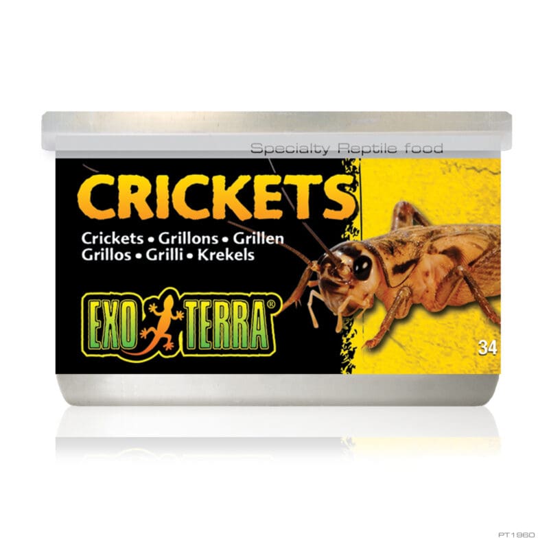 Exo Terra Crickets Small 34gm 1.2oz