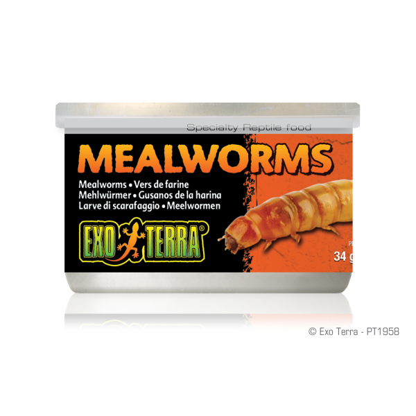 Exo Terra Mealworms 34G