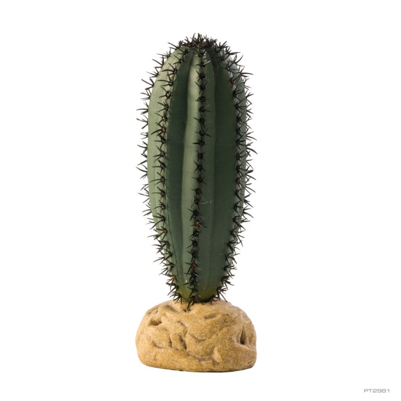 Exo Terra Saguaro Cactus 16cm tall