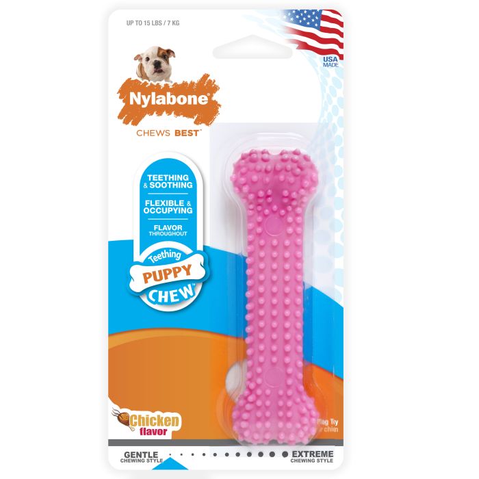 Pink dog chew toy in Nylabone packaging on a white background