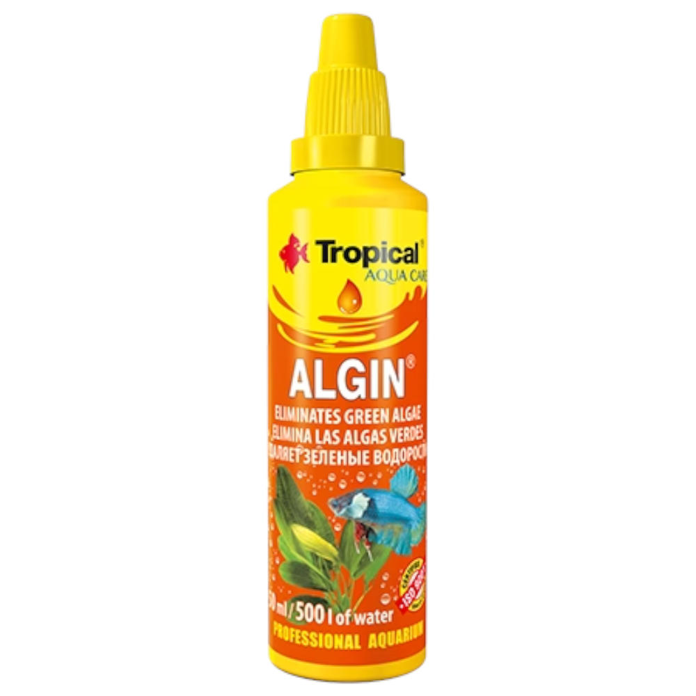 Tropical Algin