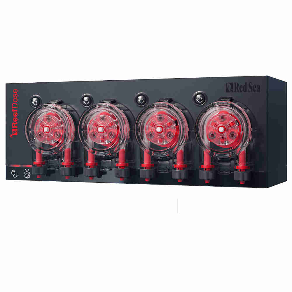 red-sea-reefdose-4