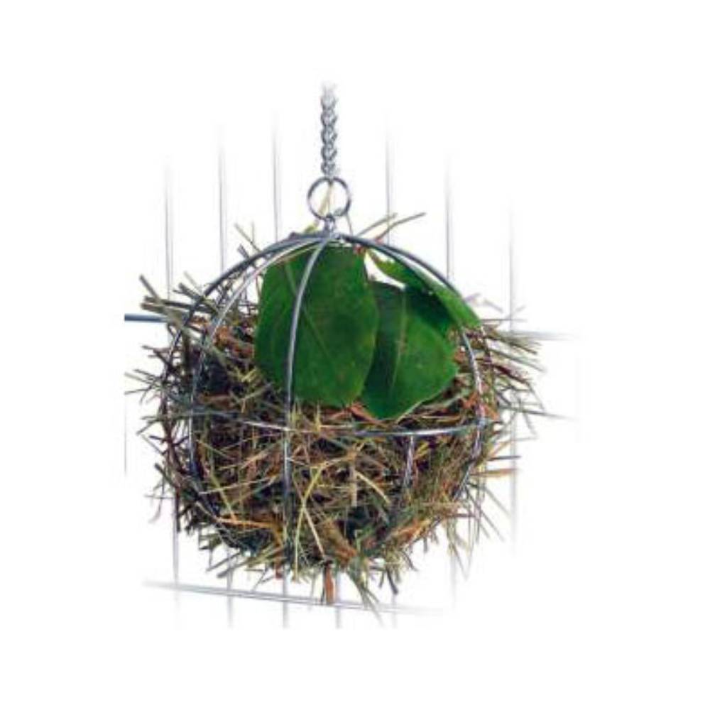 Food Ball for Rodents