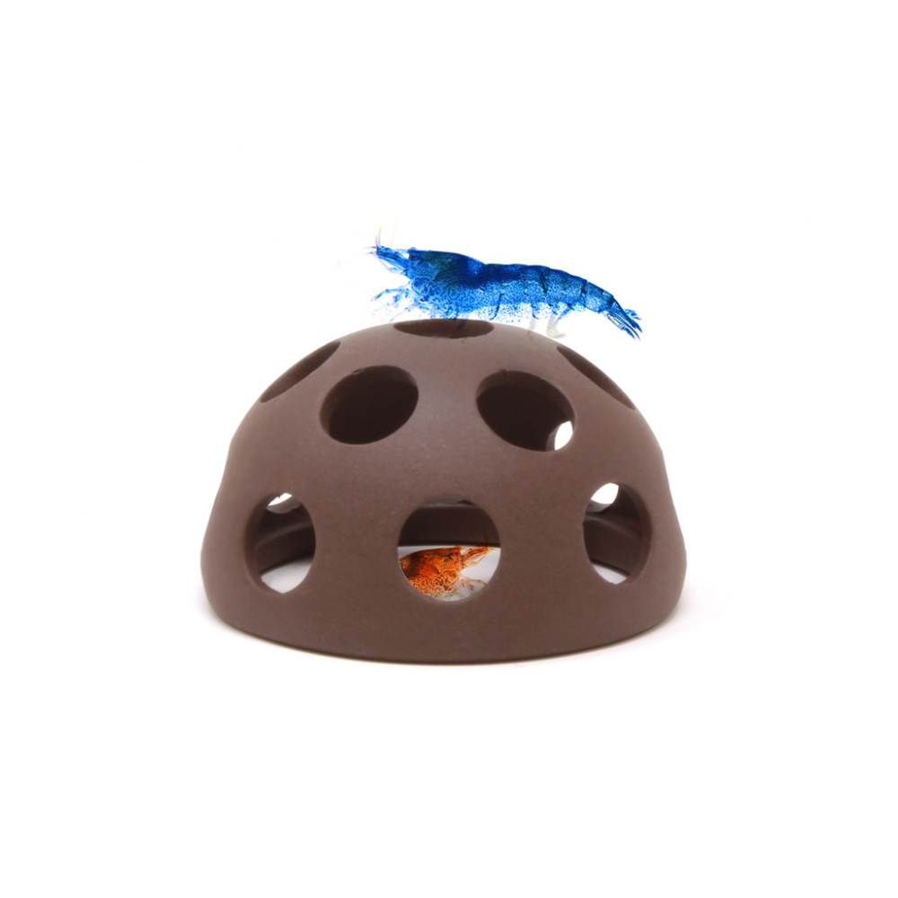 Aquavitro Shrimp Dome