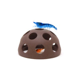 Aquavitro Shrimp Dome