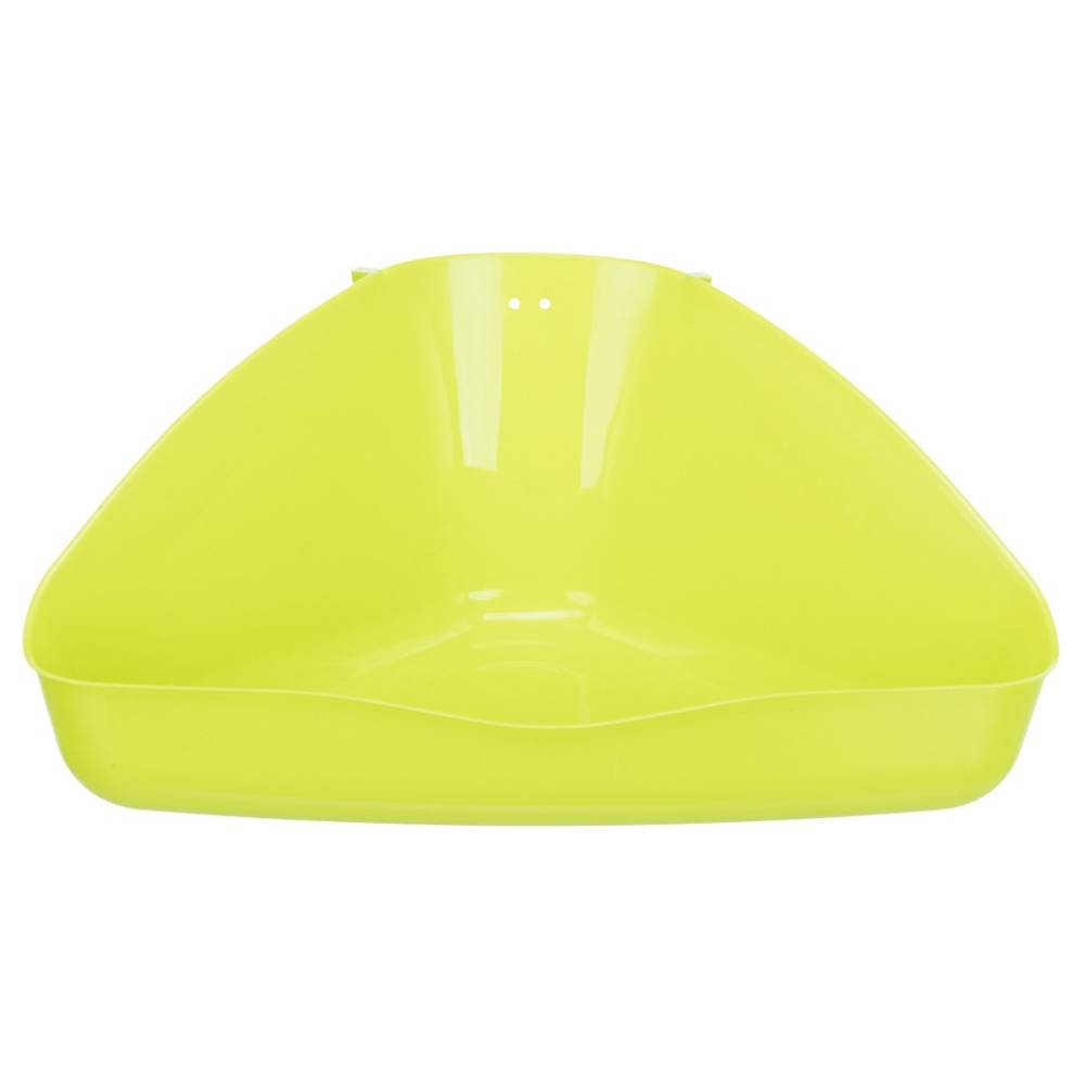 Corner Toilet