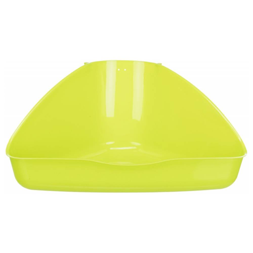 Corner Toilet