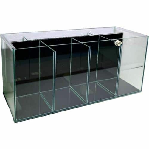 4-Bay Betta Tank With Back Filter 