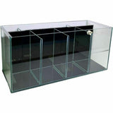 4-Bay Betta Tank With Back Filter 