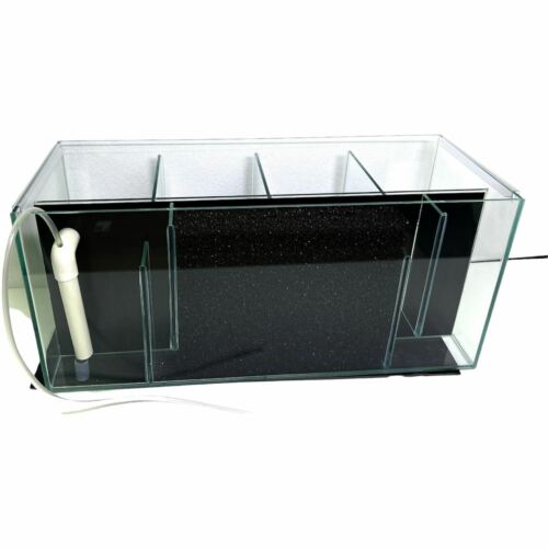 4-Bay Betta Tank With Back Filter 