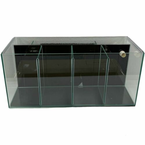 4-Bay Betta Tank With Back Filter 