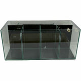 4-Bay Betta Tank With Back Filter 