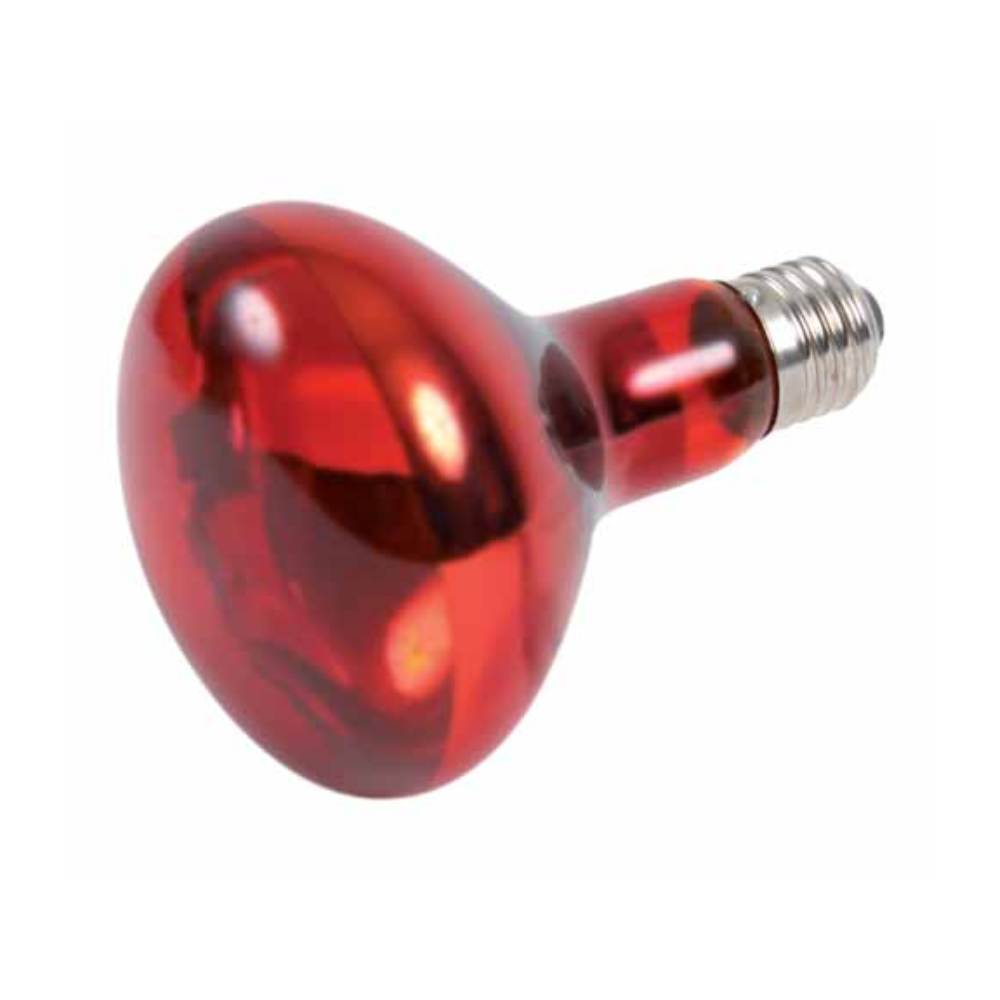 Infrared Heat Spot Lamp Red
