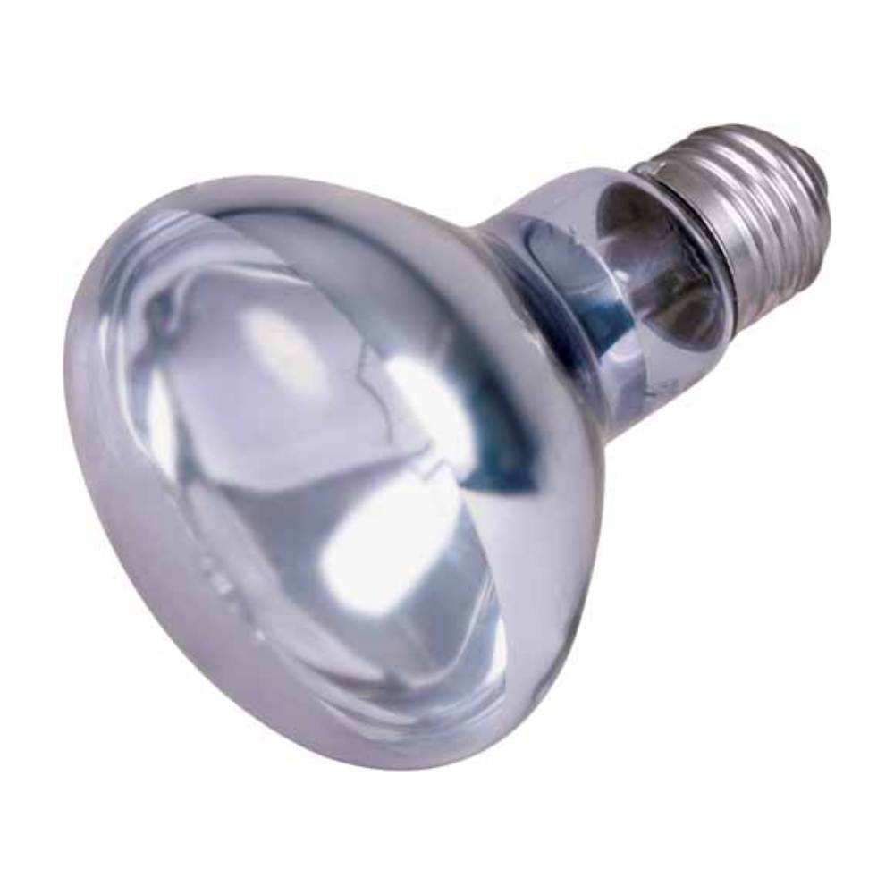 Reptile Basking Spotlamp Neodymium