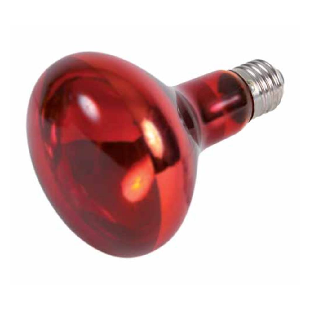 Infrared Heat Spot Lamp Red
