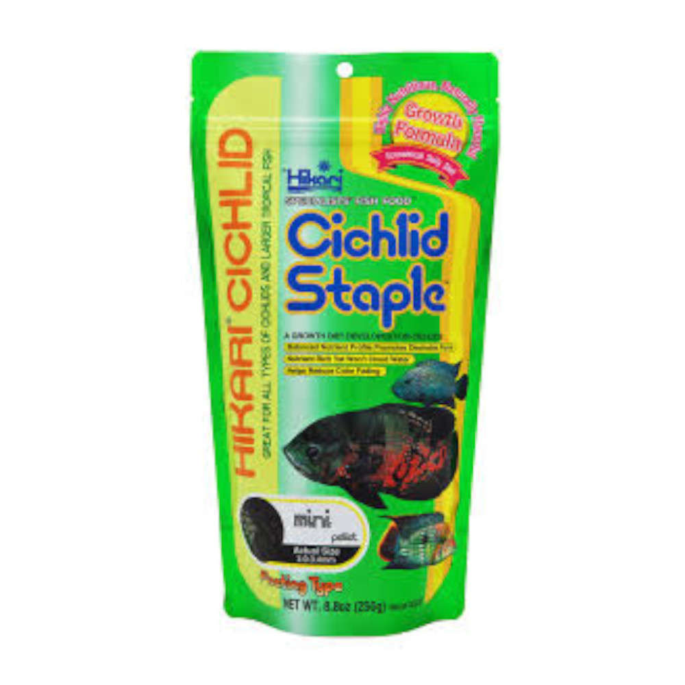 Hikari Cichlid Staple Floating Pellets - Mini, 250G image