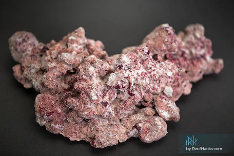 Aquaforest Synthetic Rock (Per Kilo)