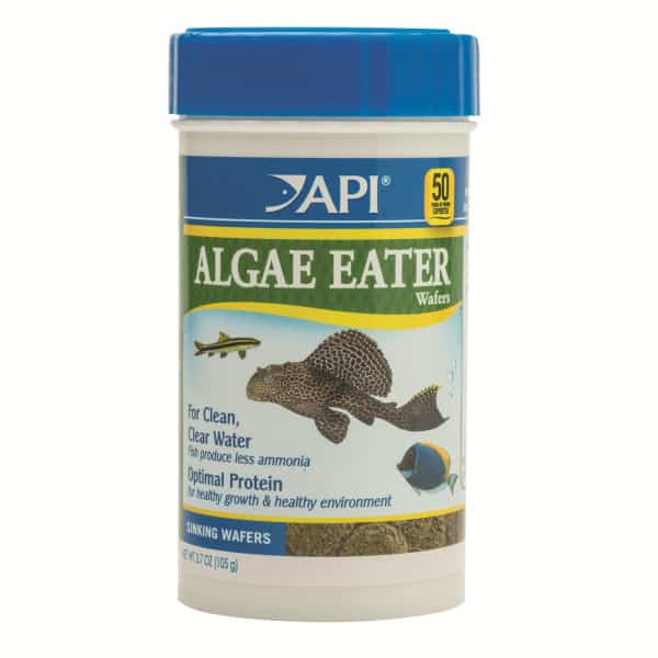 API Algae Eater Wafers 105G