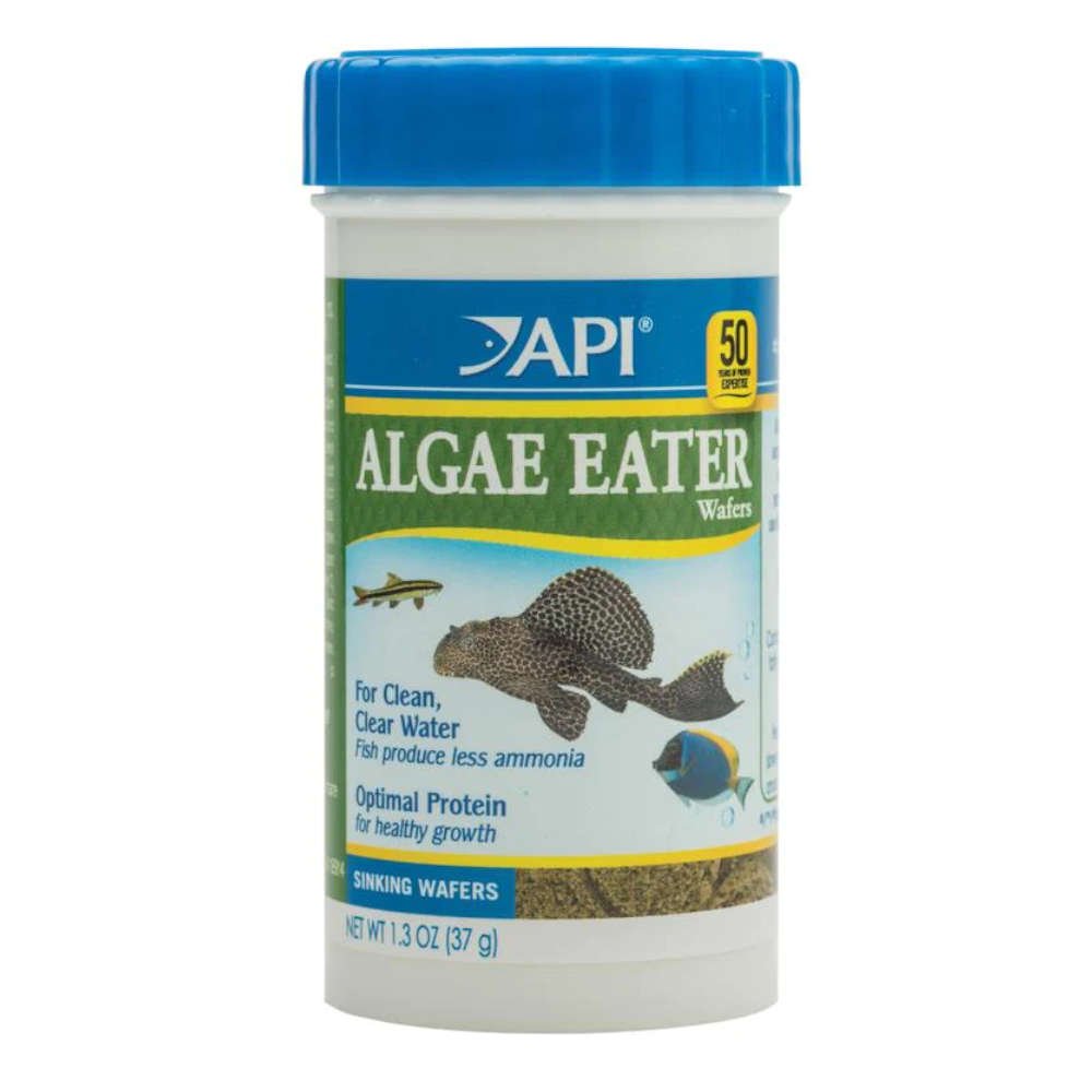 API Algae Eater Wafers 37G