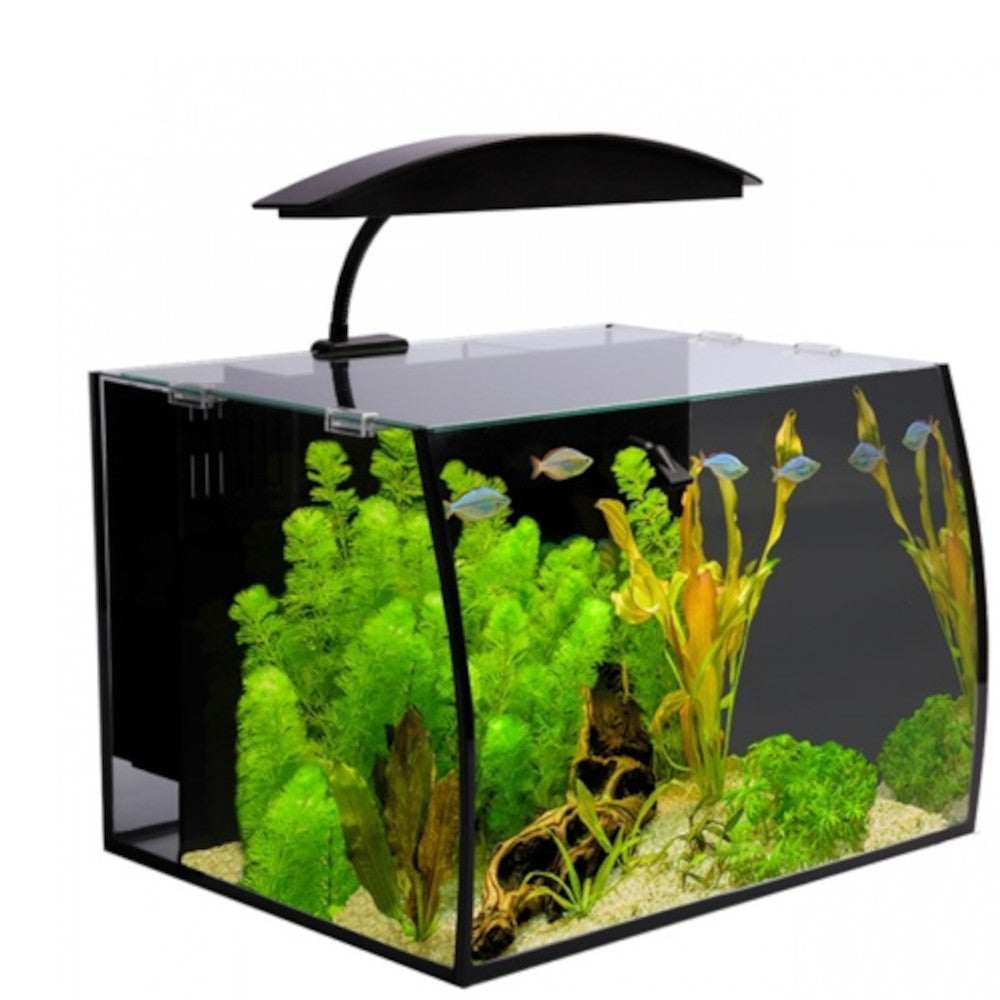 Arc 30 Glass Aquarium (40L X 32.5D X 28H)