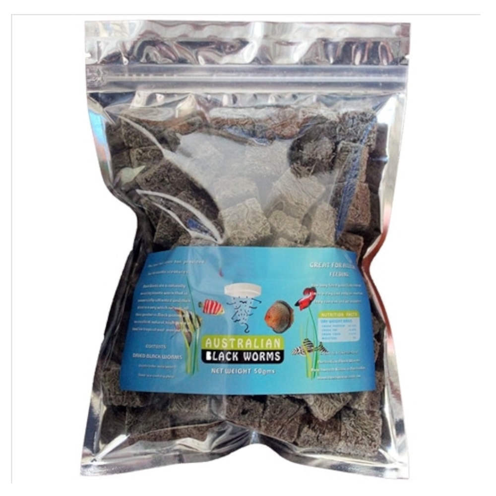 Australian Blackworm Freeze Dried