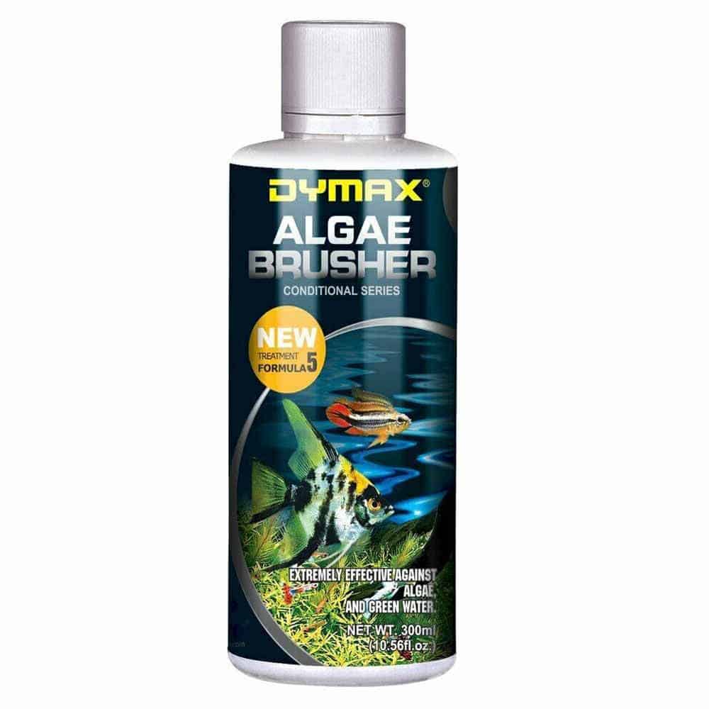Dymax Algae Brusher 300ML