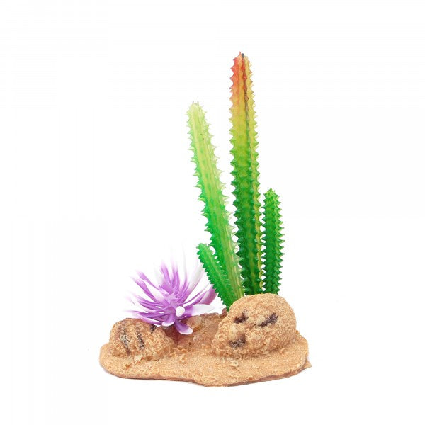 Eco Tech Desert Cactus with Brush and Rock 13cm