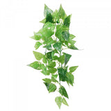 Eco Tech Hanging Honey Ivy 45cm