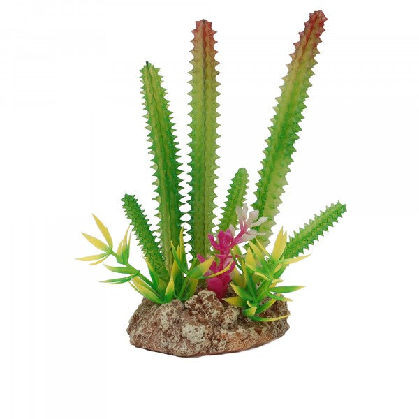 Eco Tech Multi Desert Cactus with Plant and Rock 15cm