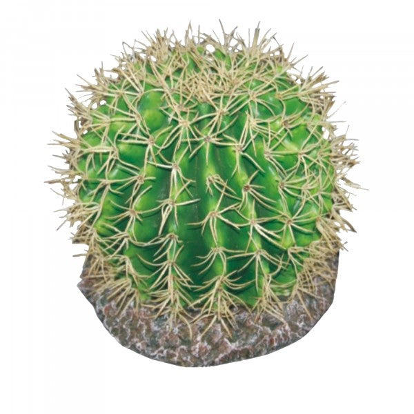 Eco Tech Pineapple Cactus 20cm