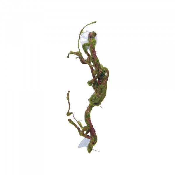 Eco Tech Twisted Vine with Moss Ball 40cm
