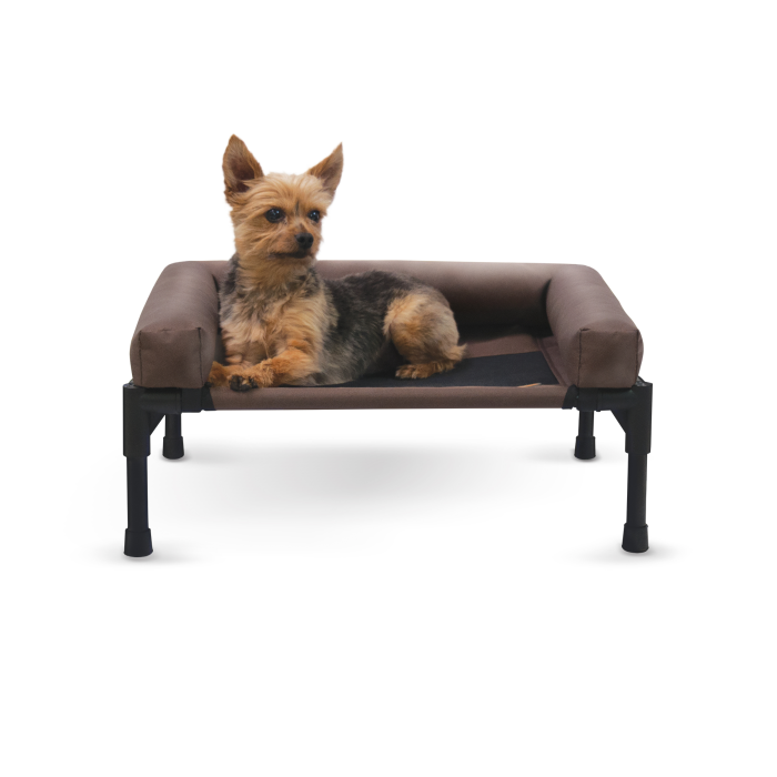 Dog sitting on a brown elevated pet bed with a white background