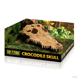 Exo Terra Crocodile Skull - Medium