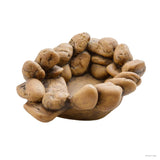 Exo Terra Frog Water Pond Small