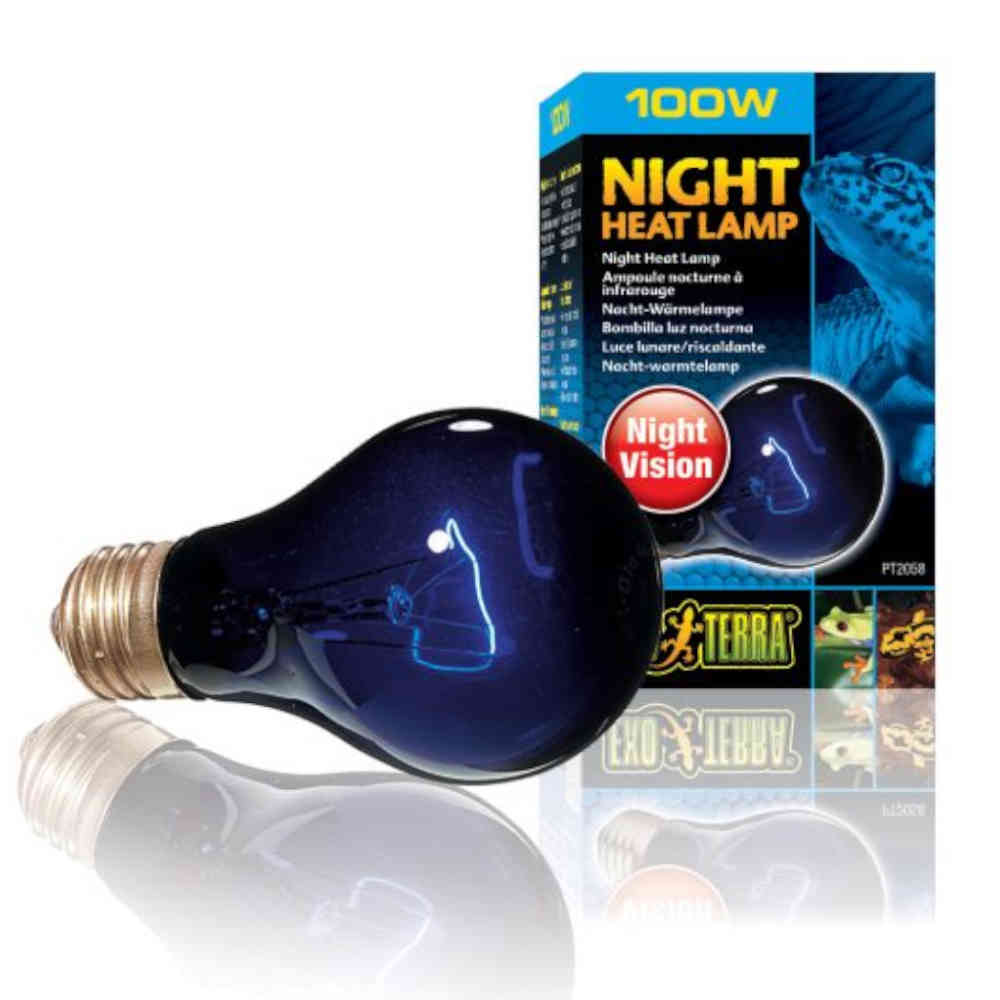 ExoTerra Night Heat Bulb 100W