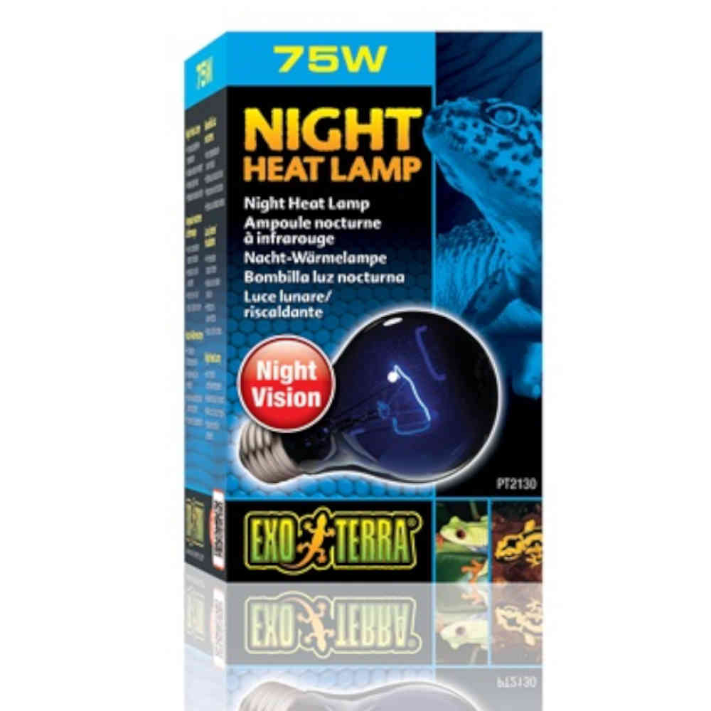 ExoTerra Night Heat Bulb 75w