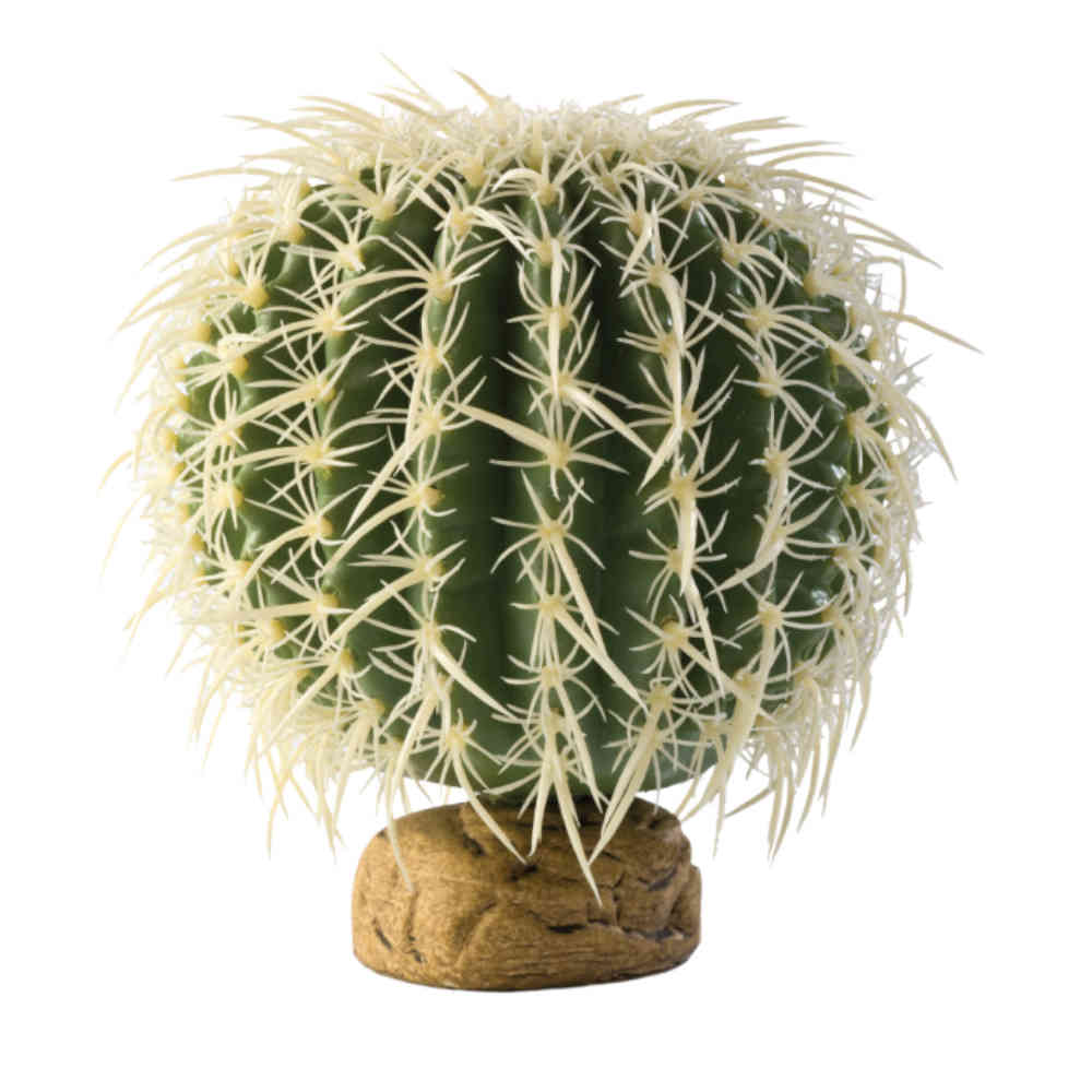 Exo_Terra_Barrel_Cactus_Medium_13cm