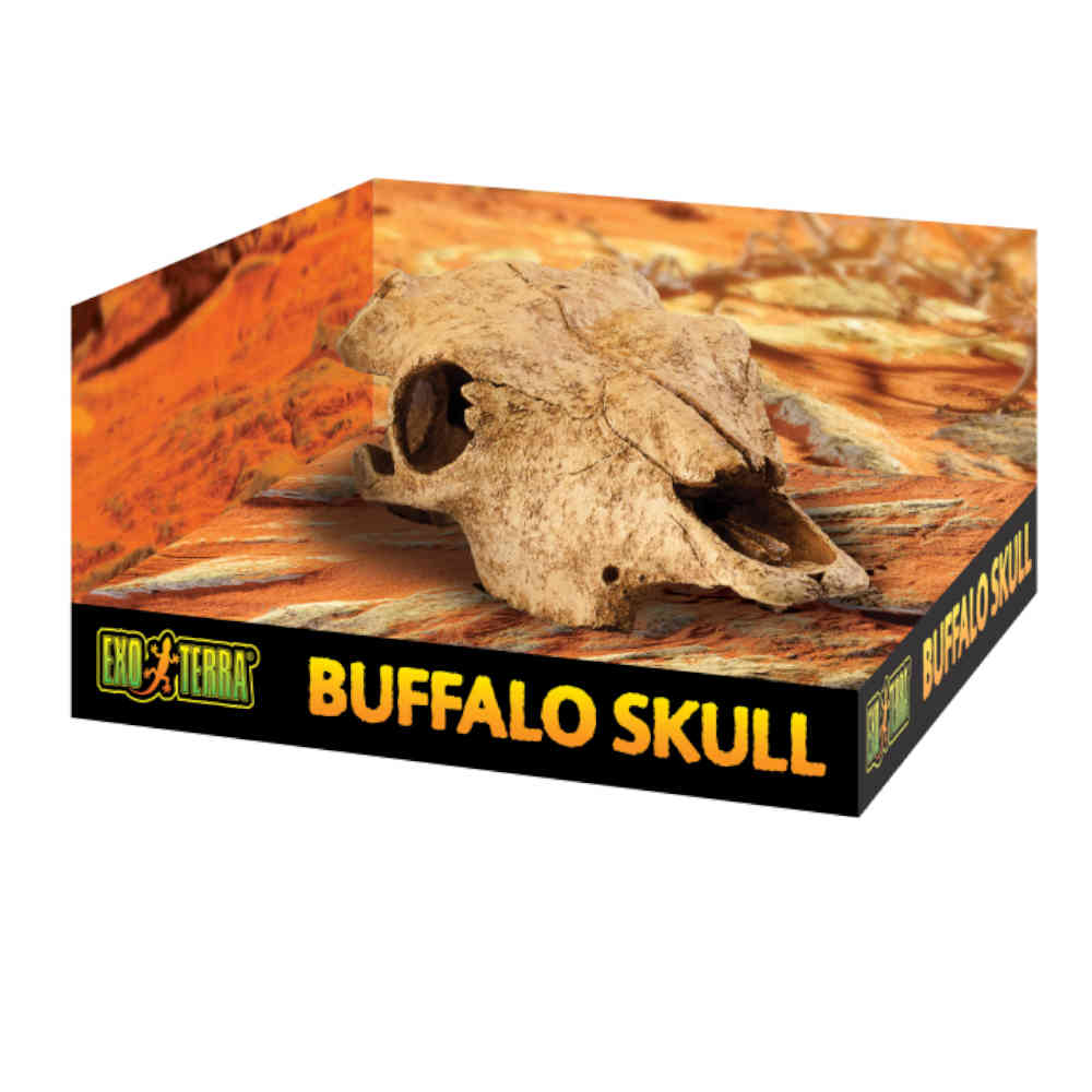 Exo_Terra_Buffalo_Skull_Medium