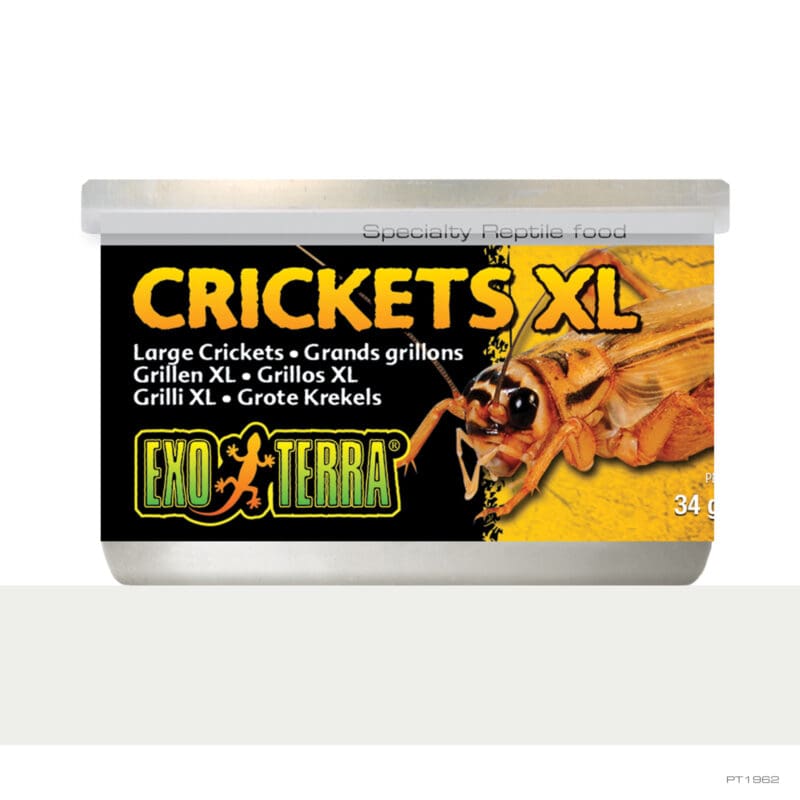 Exo Terra Crickets XLarge 34G