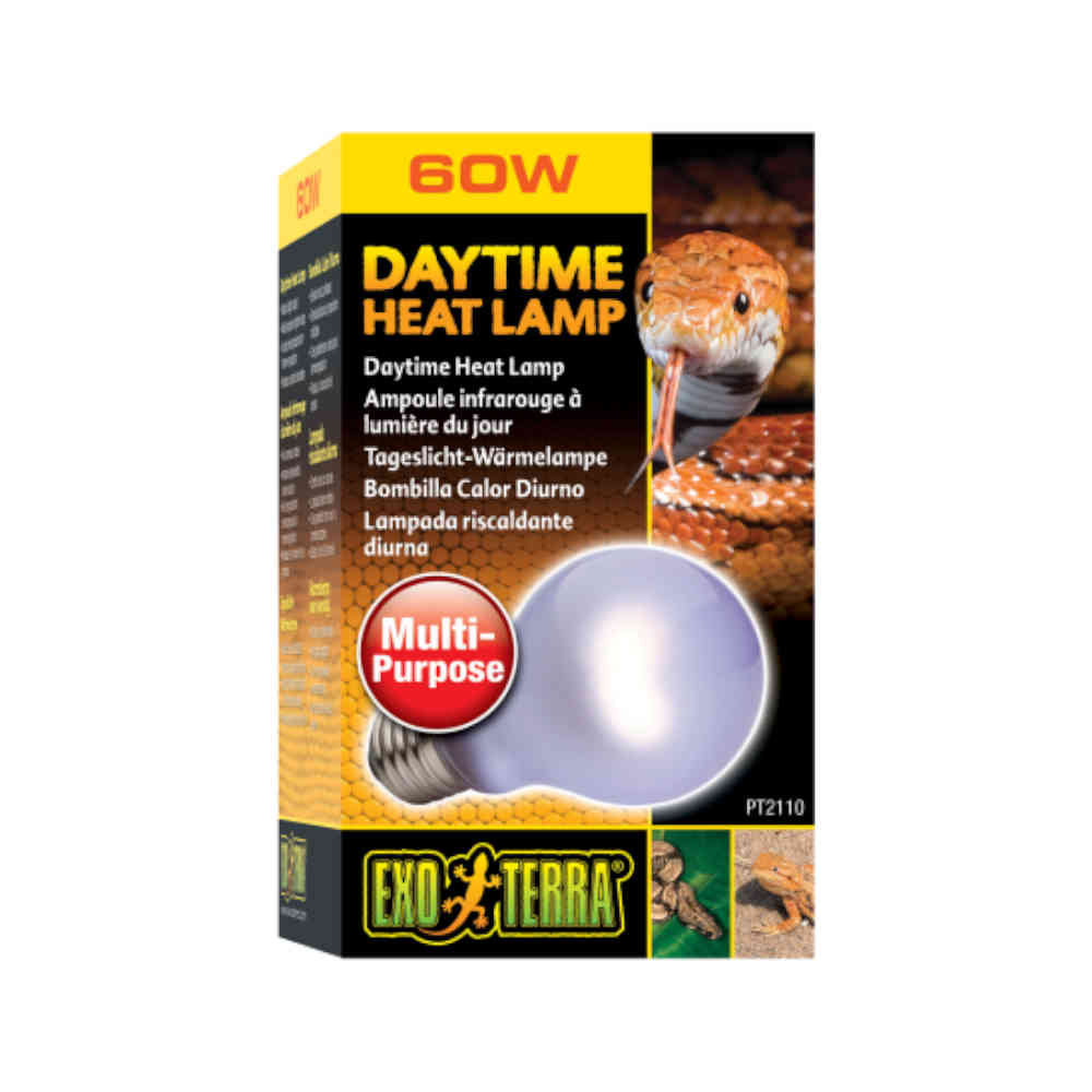 Exo_Terra_Day_Glo_Bulb_60w