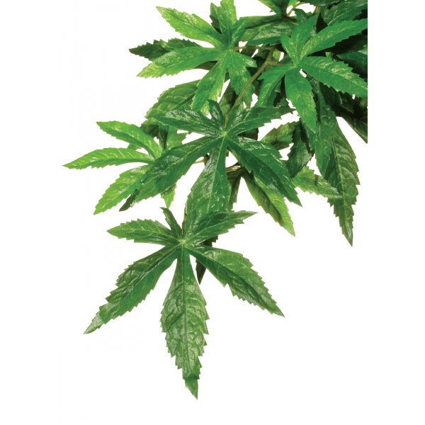 Exo Terra Forest Plant Abutilon